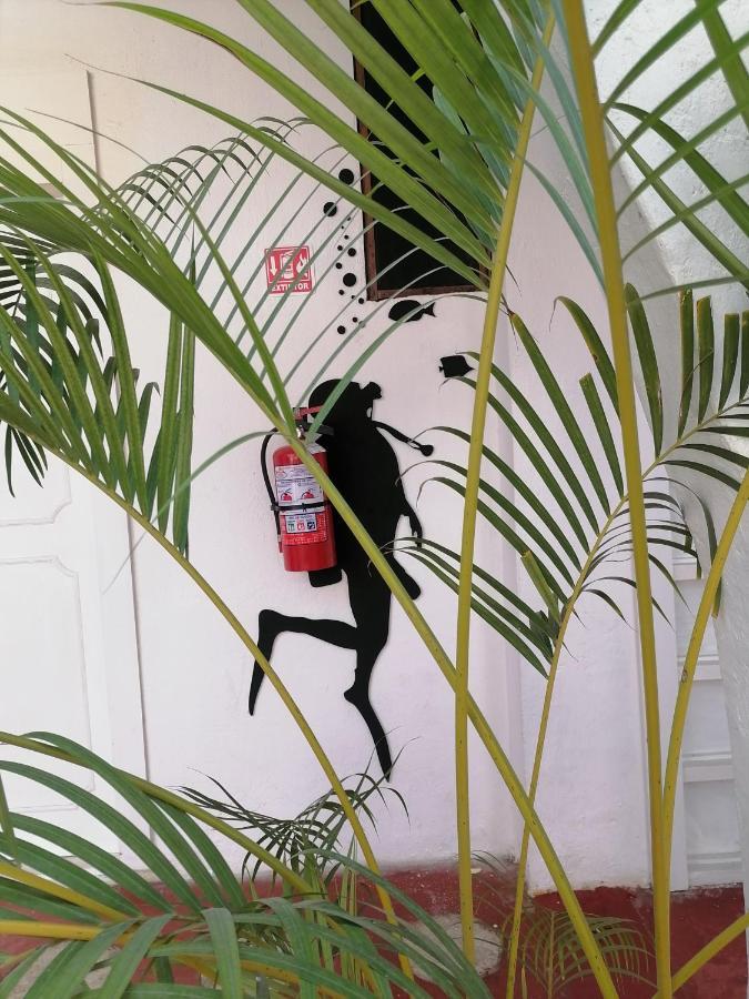 Posada Casa Antigua 特科卢特拉 外观 照片