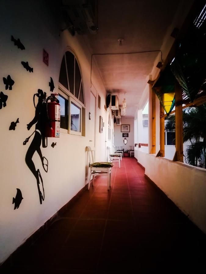 Posada Casa Antigua 特科卢特拉 外观 照片